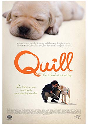 Quill: The Life of a Guide Dog - クイール