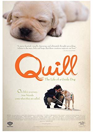 Quill: The Life of a Guide Dog