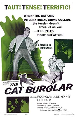 The Cat Burglar