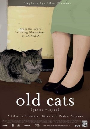 Old Cats - Gatos Viejos