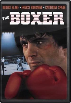 The Boxer - Un uomo dalla pelle dura
