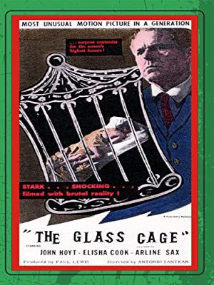 The Glass Cage