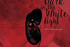 Dark in the White Light - Sulanga gini aran