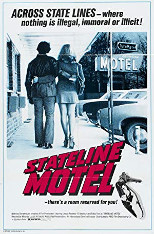 Stateline Motel - L'ultima chance