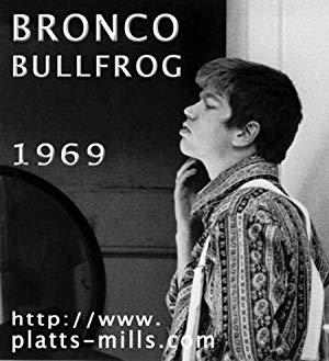 Bronco Bullfrog