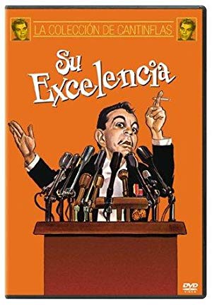 Your Excellency - Su excelencia