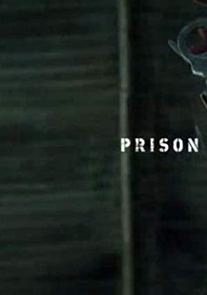 Prison Break: Proof of Innocence