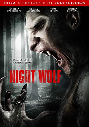 Night Wolf - 13Hrs
