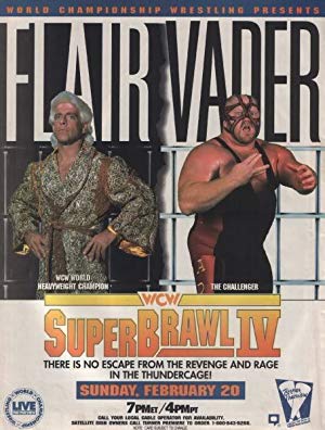 WCW SuperBrawl IV