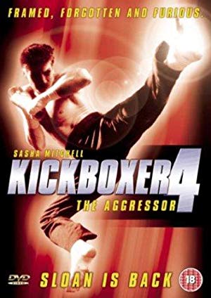 Kickboxer 4: The Aggressor