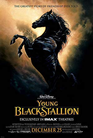 The Young Black Stallion - Young Black Stallion