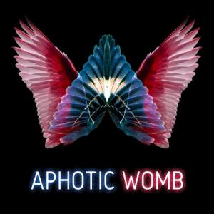 Aphotic Womb