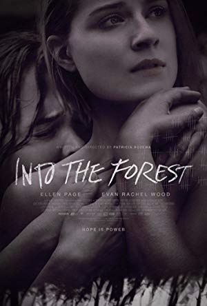 Into the Forest - Dans la forêt