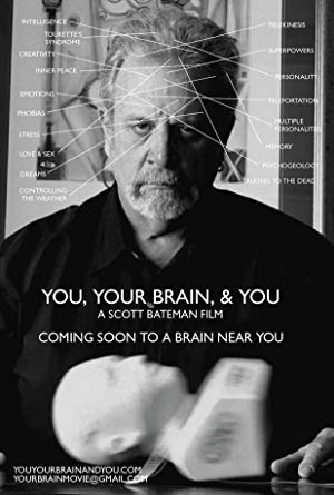 You, Your Brain, & You