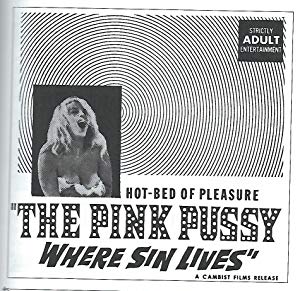 The Pink Pussy: Where Sin Lives - Acosada