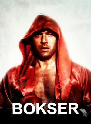 Bokser