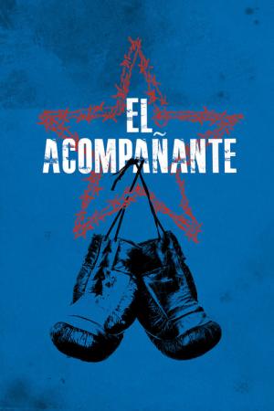 The Companion - El acompañante