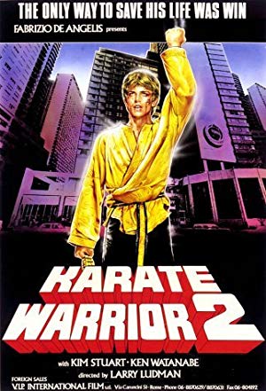 Karate Warrior 2 - Il ragazzo dal kimono d'oro 2