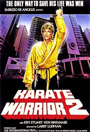 Karate Warrior 2