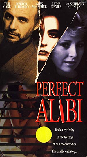 Perfect Alibi