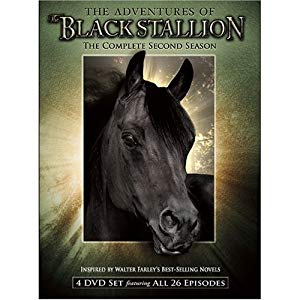 The New Adventures of The Black Stallion