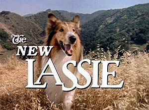 The New Lassie