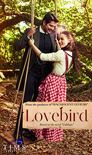 Lovebird - Çalıkuşu