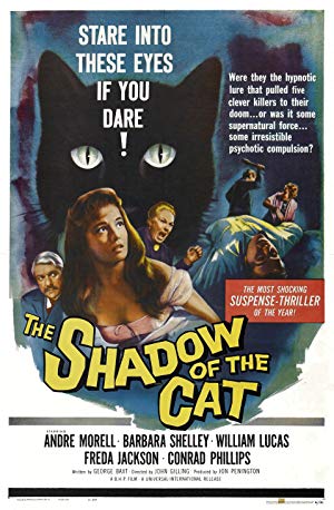 The Shadow of The Cat