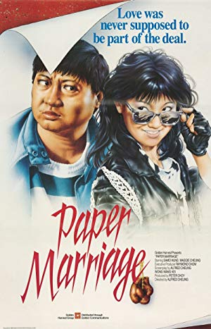 Paper Marriage - 过埠新娘
