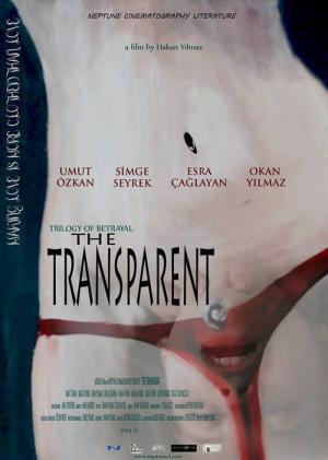 The Transparent