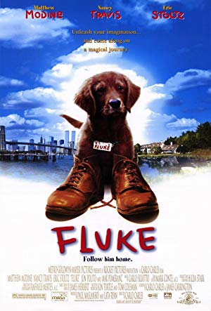 Fluke