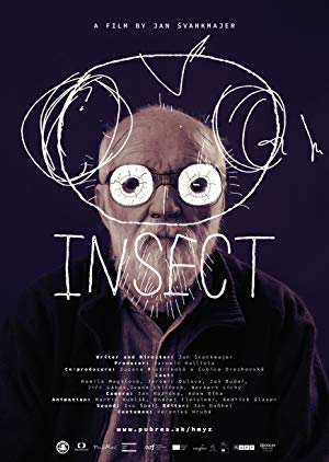 Insect